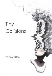 Poetry Book Tiny Collisions Poppy Dillon