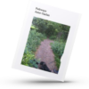 Pathways Poetry book