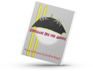 Umbrellas are for Whimps. poetry book
