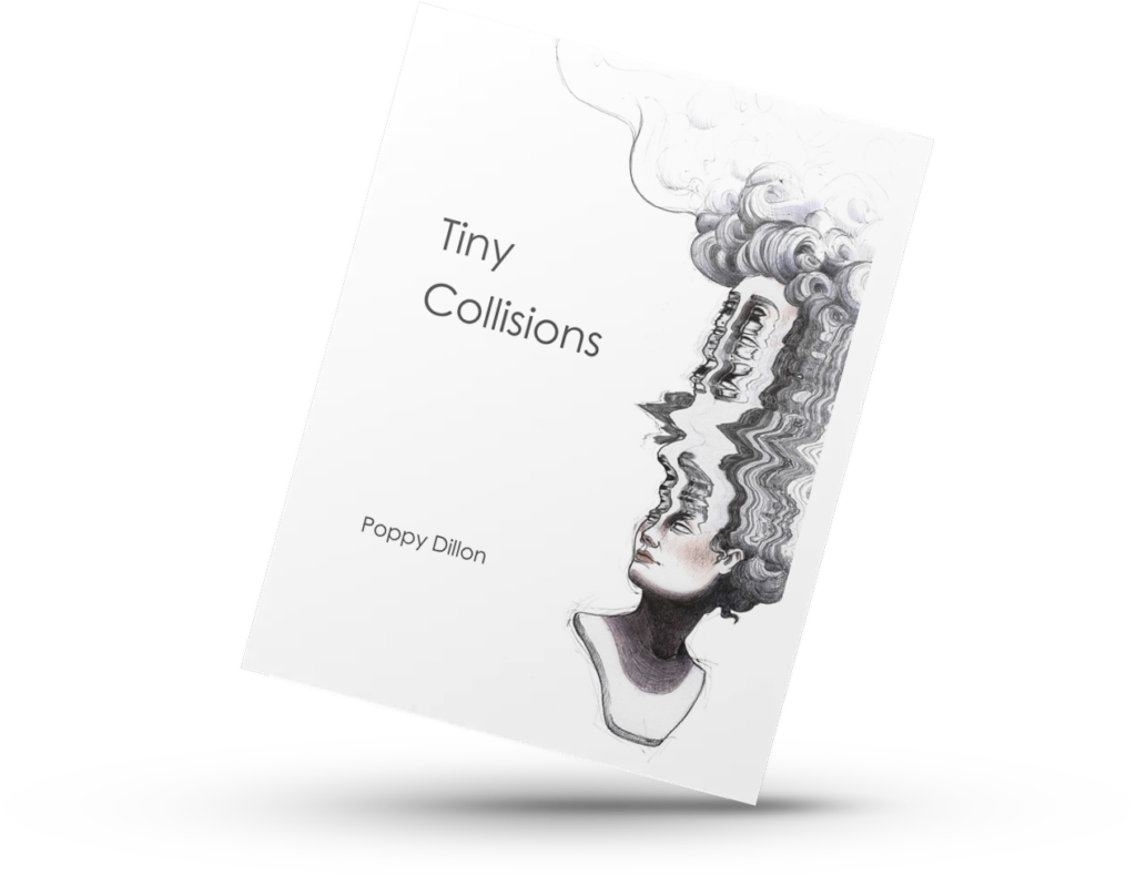 Tiny Collisions Poppy Dillon. Poetry Book