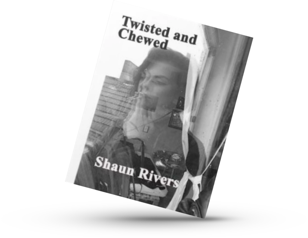 Twisted and Chewed eBook poetry book