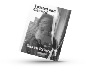 Twisted and Chewed eBook poetry book