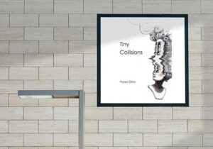 Poppy Dillon poetry book